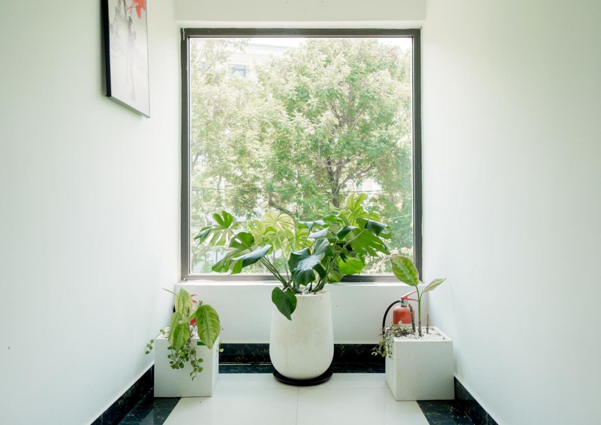 Dat Anh Hotel Huế Ngoại thất bức ảnh